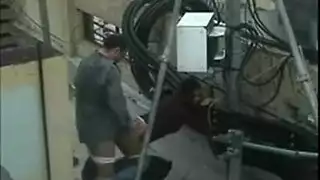 ينيك فتاه مصريه ع السطح