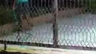 غريب مطيع مجعد مشعر