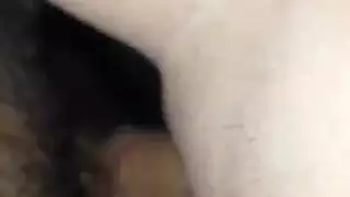 مرن شخ الشرب راعية البقر العكسي